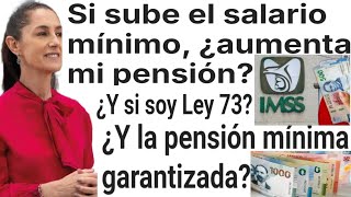 🔥SUBE SALARIO EN 2025 SUBE MI PENSIÓN IMSS PENSIONADOS JUBILADOS PAGOS 1 FEBRERO [upl. by Penrose]