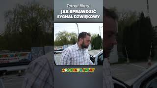 Jak Sprawdzić Sygnał Dźwiękowy Hyundai i20 Prawo Jazdy Kategoria B [upl. by Adnuhs902]