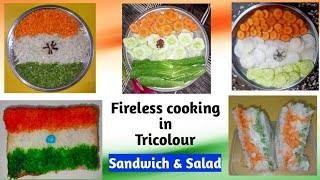 Tricolour Fireless cooking  Tricolor SandwichSalad  Cooking by my students Independence day 2022 [upl. by Dnesnwot783]