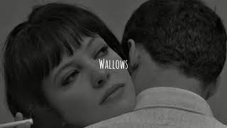 Wallows  These Days Subtitulada [upl. by Feliks]