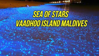 Sea of Stars  Vaadhoo Island Maldives  Tour Around The World [upl. by Eelyr]