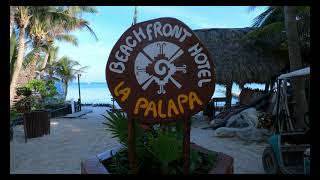 Hotel La Palapa Beach Front Holbox Island Riviera Maya Yucatan Peninsula [upl. by Sofko491]