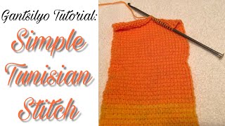 Gantsilyo tutorial Simple Tunisian Stitch PhilippinesFilipino [upl. by Ennaihs]