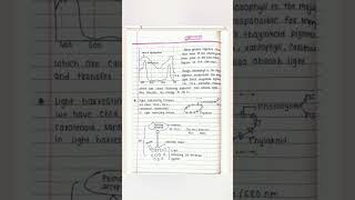 photosynthesis in Higher plants  Class 11th  Handwriten Short Notes  CBSE  NEET  JEE [upl. by Ettenna]