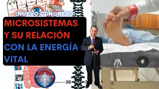 Microsistemas Y Su Relación Con La Energía Vital [upl. by Ttimme858]