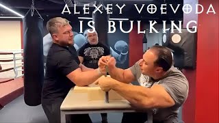 ALEXEY VOEVODA gets MASSIVE and STRONG again [upl. by Yatzeck]