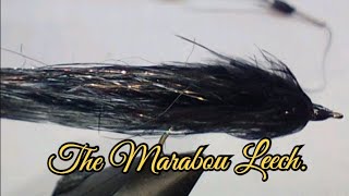 Neilys Marabou Leech [upl. by Scheck896]