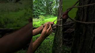 Bushcraft Skills DIY Crafting a Backpack Hanger in the Wild bushcraft shorts outdoors skills [upl. by Uriia104]