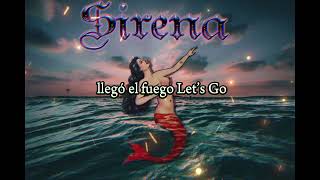 Sirena Lyrics  Devold  OrganicLyrics [upl. by Adnaluy]