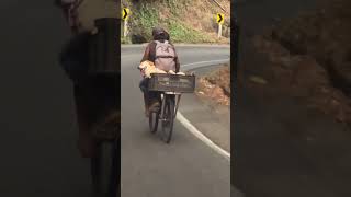 Dog in Rear Basket Riding Bicycle Along With Two Guys [upl. by Lahtnero874]