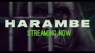 Harambe documentary with previously unseen footage of famous gorilla [upl. by Leona]