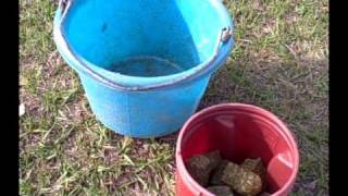 Feeding Your Horse Alfalfa Cubes How and Why [upl. by Ades310]