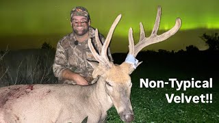 NonTypical Full Velvet Whitetail Archery Hunt [upl. by Nelyk]