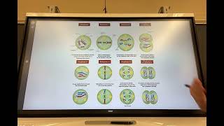 Meiosis Lecture [upl. by Aanas]