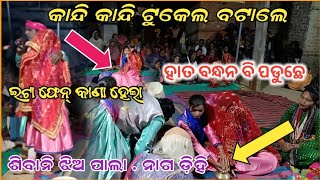 shibani tukel pala nagdihi tukel pala tukel bata comedySambalpuri ladies paala budharajamedia [upl. by Tevis153]