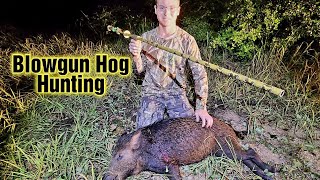 Blowgun Hunting Big Hogs HOG DOWN [upl. by Som]