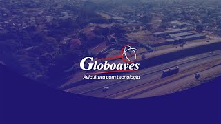 Globoaves Institucional 2023  Português [upl. by Tyree]