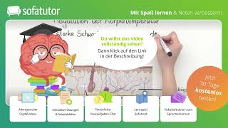 Die Haut – ein Sinnesorgan einfach erklärt – Biologie [upl. by Lirbaj]