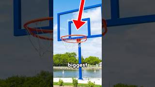 This Basketball Hoop Is 30 Feet Tall… shorts [upl. by Donough679]