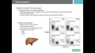 Optimize your Flow Cytometry  Best Practices for Sample Preparation Staining and Analysis [upl. by Deming808]