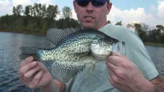 Indiana crappie [upl. by Ybroc8]