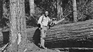 Legends of Logging  Buzz Martin [upl. by Hootman]