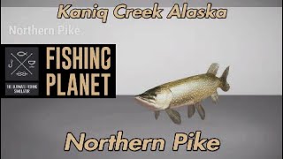 Fishing Planet Northern Pike Kaniq Creek Alaska Guide [upl. by Grand]