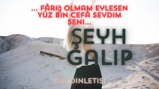 Şeyh Galip  Fâriğ Olmam Eylesen Yüz Bin Cefâ Sevdim Seni  Rebecca Mia [upl. by Onder]