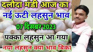 दलौदा मंडी आज का नई ऊटी लहसुन का भाव 07 दिसंबर 2023 new ooty garlic rate today ooty garlic rate [upl. by Snevets]