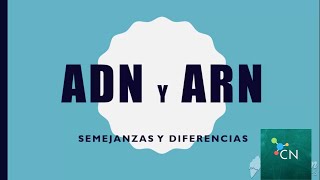 ADN amp ARN Semejanzas y diferencias  2ºAÑO CENS  CIENCIAS NATURALES [upl. by Hatnamas627]