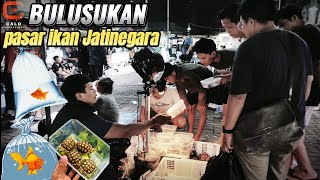 REVIEW RANDOM PASAR JATINEGARA‼️ [upl. by Eerized854]