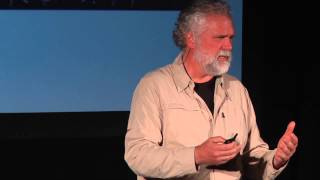 Seven surprising results from the reduction of Arctic Sea ice cover  David Barber  TEDxUManitoba [upl. by Guilbert959]