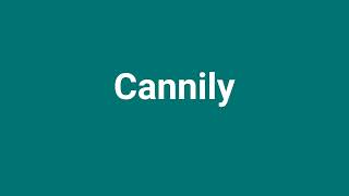 Cannily Meaning and Pronunciation [upl. by Aihsi]