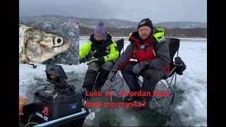 TCs julekalender 2023 16 Hvordan fiske med mormyska [upl. by Elleynad]