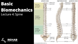 Biomechanics Lecture 4  Spine [upl. by Hteazile879]