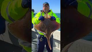 Rich Catches BIG Ray in Weymouth [upl. by Harrow]