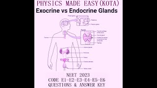 ORIGINAL NEET  2023 CODE E1 E2 E3 E4 E5 E6 QUESTIONS WITH KEY ENDOCRINE GLANDS KIDNEY  4 [upl. by Shiekh]