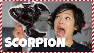 SCORPIONS  Bugmas 2016 a bug eating countdown to Christmas [upl. by Howarth275]