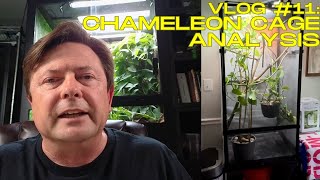 Chameleon Cage Review [upl. by Yenoh]