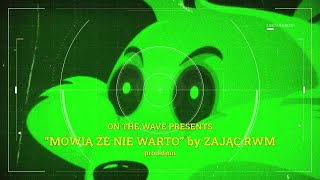 Zając RWM  MÓWIĄ ŻE NIE WARTO [upl. by Bostow917]