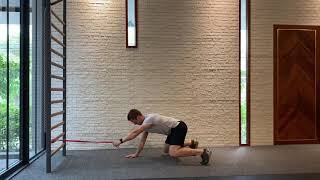 Quadruped row  Resistance band [upl. by Hinson]