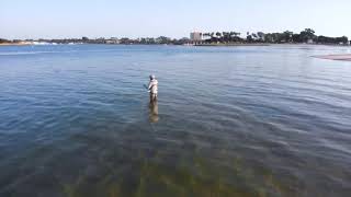 Fly Fishing Mission Bay San Diego [upl. by Cudlip906]