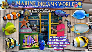 Marine Dreams World Bangalore [upl. by Tymothy309]