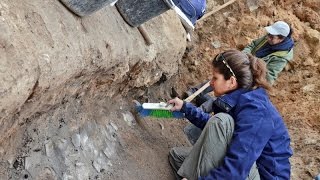 A GateShrine Dating to the First Temple Period was Exposed in the Tel Lachish National Park [upl. by Sperling]