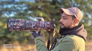 safari vlog dhela zone male and tigress sighting [upl. by Ahsikram97]