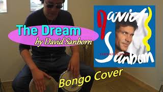 The Dream David Sanborn Bongo Cover davidsanborn bongo [upl. by Auhsaj931]