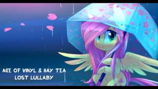 Age of Vinyl amp Hay Tea  Lost Lullaby [upl. by Nnylg344]