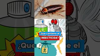 Que Contiene El Insecticida🪳SUSCRIBETE👆🏼 youtubeshorts datoscuriosos foryou fyp video [upl. by Erdnaet]