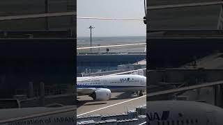 ANA A321着陸羽田空港 飛行機 shorts [upl. by Rehpotsyrhc416]