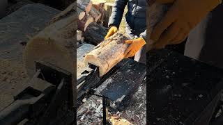 Woodcutter pine firewood woodworking woodwork [upl. by Aiekan]